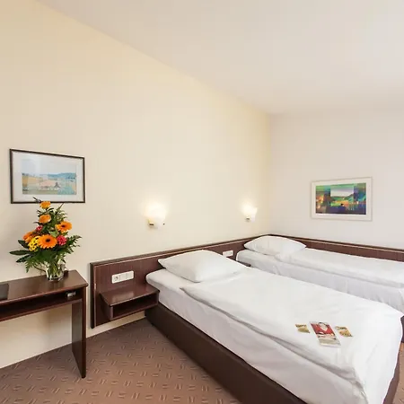 Strijewski 3* 沃尔夫