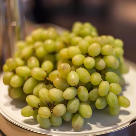 Strijewski 酒店 沃尔夫