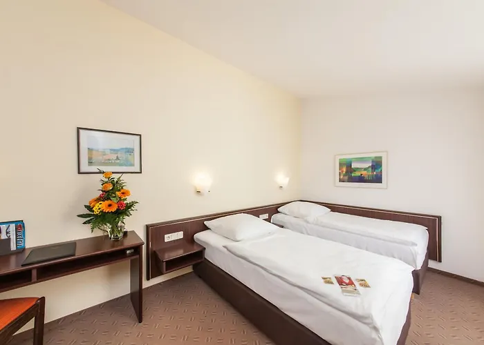 Strijewski 3* Wolfsburg