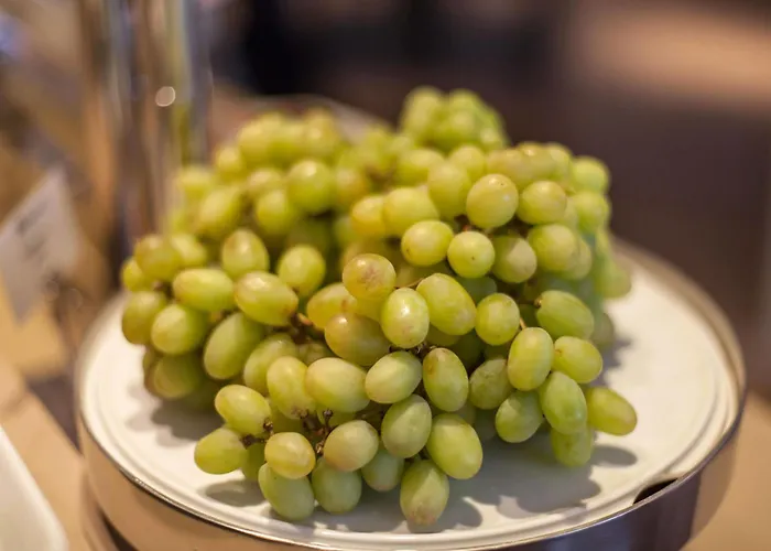 Hotel Strijewski Hotel Wolfsburg